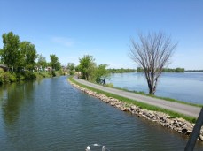 In many places, the narrow canal parallels the Richelieu River, bypassing rapids.  A bike path runs along the canal the entire length, and had hundreds of people were walking or biking along the path on the beautiful Sunday afternoon when we transited the Canal