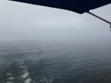 The fog closing in on us in Lake Champlain
