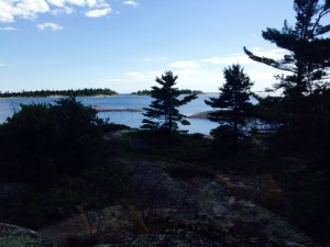 A view from our bike ride