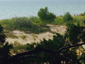 The dunes a few miles from Charlevoix Harbor