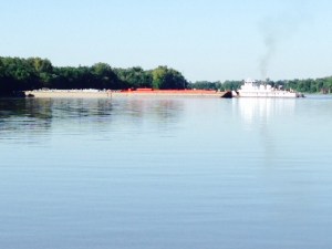 We came upon this tow that was perpendicular to the river, completely blocking passage. Apparently he was having difficulty because his barges were grounding in the mud. When we contacted him by radio, his first instructions to us were "Stay away!". A short while later, another tow came upriver, so he had to unhook the tug from the barges and clear a path. After the other tow went through, he let us pass as well. The tows rule the river!