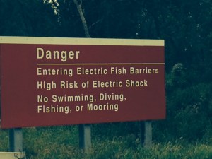 We decided to stay on the boat....