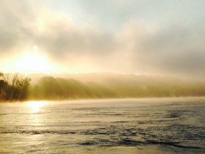 An added challenge one morning when we left at first light was morning fog on the river - we had to navigate by radar until the sun burned off the fog. It was that much more difficult to see the debris in time to avoid it, so poked along at a very slow speed