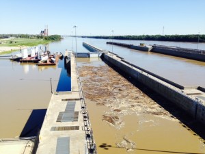 Debris that has collected in the lock near St. Louis - we toured the Mississippi River Museum at the lock and took this picture from the top of the lock