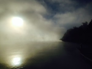 Prior to the storm, the weather has been very hot - mid to high 80's during the day, mid to high 60's at night. The water is incredibly warm - like bath water,  However, the storm pulled in cold air, so it's been in the 40's at night - as a result, we've had morning fog on the water every day since the storm went through.  This is a picture of the fog at Bobby's as we prepared to cast off.