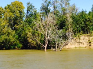 High water and swift currents 