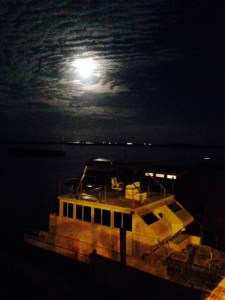 This picture was taken from the same spot, a couple of hours later after the rise of a full moon over the creek