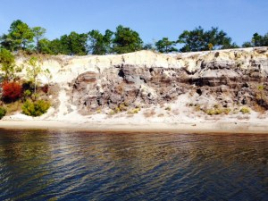 A sand cliff along the Gulf Intracoastal Waterway