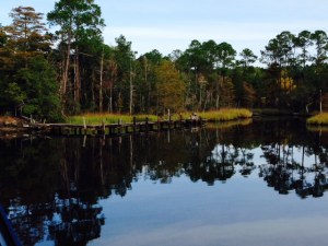 The reflection in the water in this picture and the next two show how smooth and peaceful the water was as we passed through parts of the rivers/canal section of the Waterway