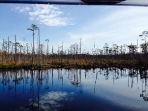 And one more - the character of the scenery is constantly changing