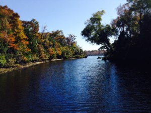 One of the many creels and side channels off the main river, which is in the background