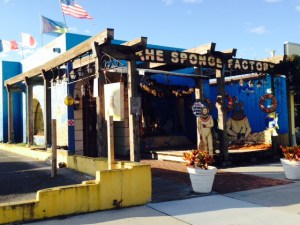In addition to Greek restaurants, sponges are everywhere - in every gift shop, in dedicated sponge stores, in the "Sponge and Soap Museum, etc.  You can even go on sponge tours in which harvesters take you on their boat and you observe the harvesting of sponges in the Gulf waters