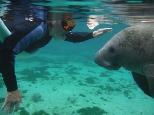 She hung around, seemingly waiting to be pet, so I did - she seemed to like it