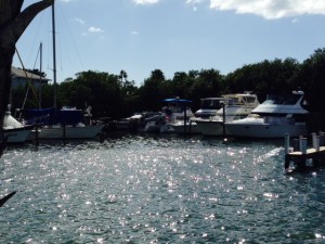 Another picture of the marina and the Joint Adventure