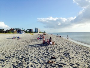 Another spectacular beach along the Gulf coast of Florida - this one in Venice