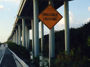 Toto, I've a feeling we're not in Kansas anymore....