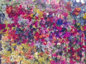 This is actually an entire wall of real flowers