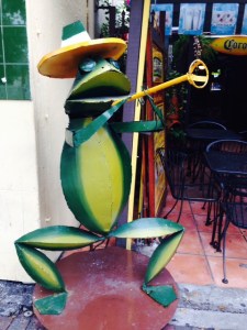 He reminded me of Kermit, so I couldn't resist including a picture of him...I couldn't resist 