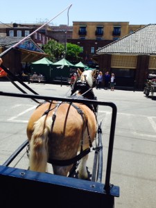 We took an hour-long narrated carriage ride to get an overview of the city - this is Dan, our one horsepower engine. Our guide was a history professor from Charlestom College who loves horses and history, so she was the perfect guide.