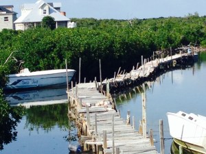 The dock where fishermen bring their catch to the other operation on the island that ships it out - Doug, did you build this?