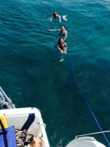 If I pulled up the anchor, maybe they could water ski....