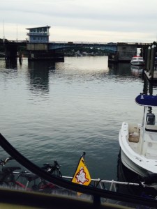 There are numerous drawbridges along the ICW, especially in Florida. Our "air draft" (height above the water level) is about 18' with our antenna down - we can get down to 16' by lowering the radar tower, which we did several times in the northern canals & rivers, and we can get down to 11 1/2' by taking the bimini down.  We can get under most drawbridges without an opening since we left Florida, but this one was just to close. It opens only once every hour, so we tied to the dock at a nearby marina while we waited about 20 minutes for an opening at the top of the hour.