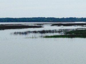 The views of the endless estuaries and salt water marshes in the Low Country are spectacular