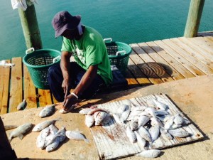 A subsistence fisherman cleaning his catch.