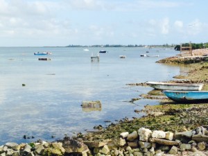 The Wet End Village runs along the water, which is the focus of subsistence fishing by the residents. The primary focus is on the harvesting of conch, which is done by diving in shallow water up to about 12 feet and picking them off the sandy ocean floor. No diving equipment is used - just masks, and they hold their breath to dive.