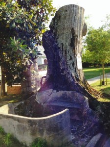 Dating from 1880, more than 20 of these artesian wells/fresh water springs provided water to Oriental residents until the 1960's. The concrete benches were added in the 1920's, providing a place for residents to gather and socialize under this 200 year old willow oak when they came to get water. 