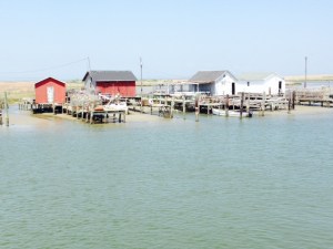 A view along the waterfront on Tangier Island