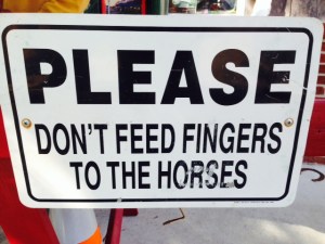 A sign at the horse/carriage tours -